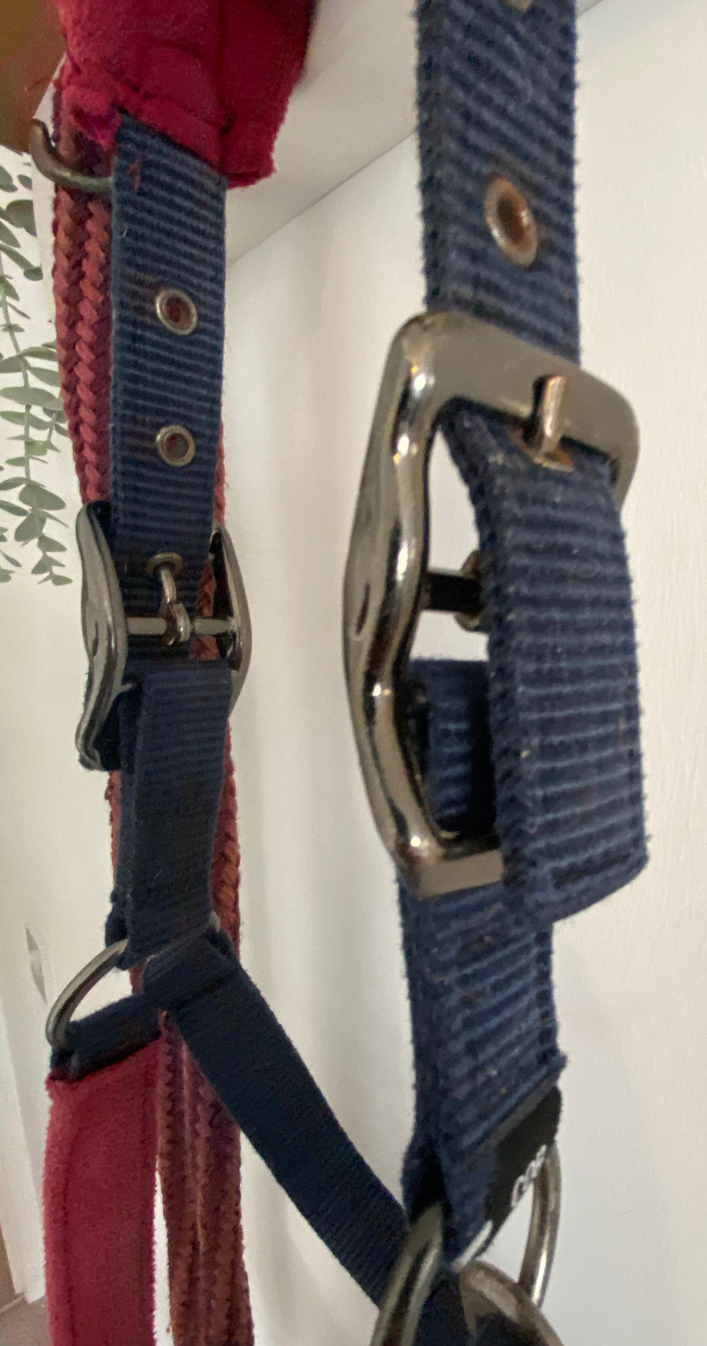LeMieux Cob Headcollar & Matching Lead Rope – Burgundy/Navy
