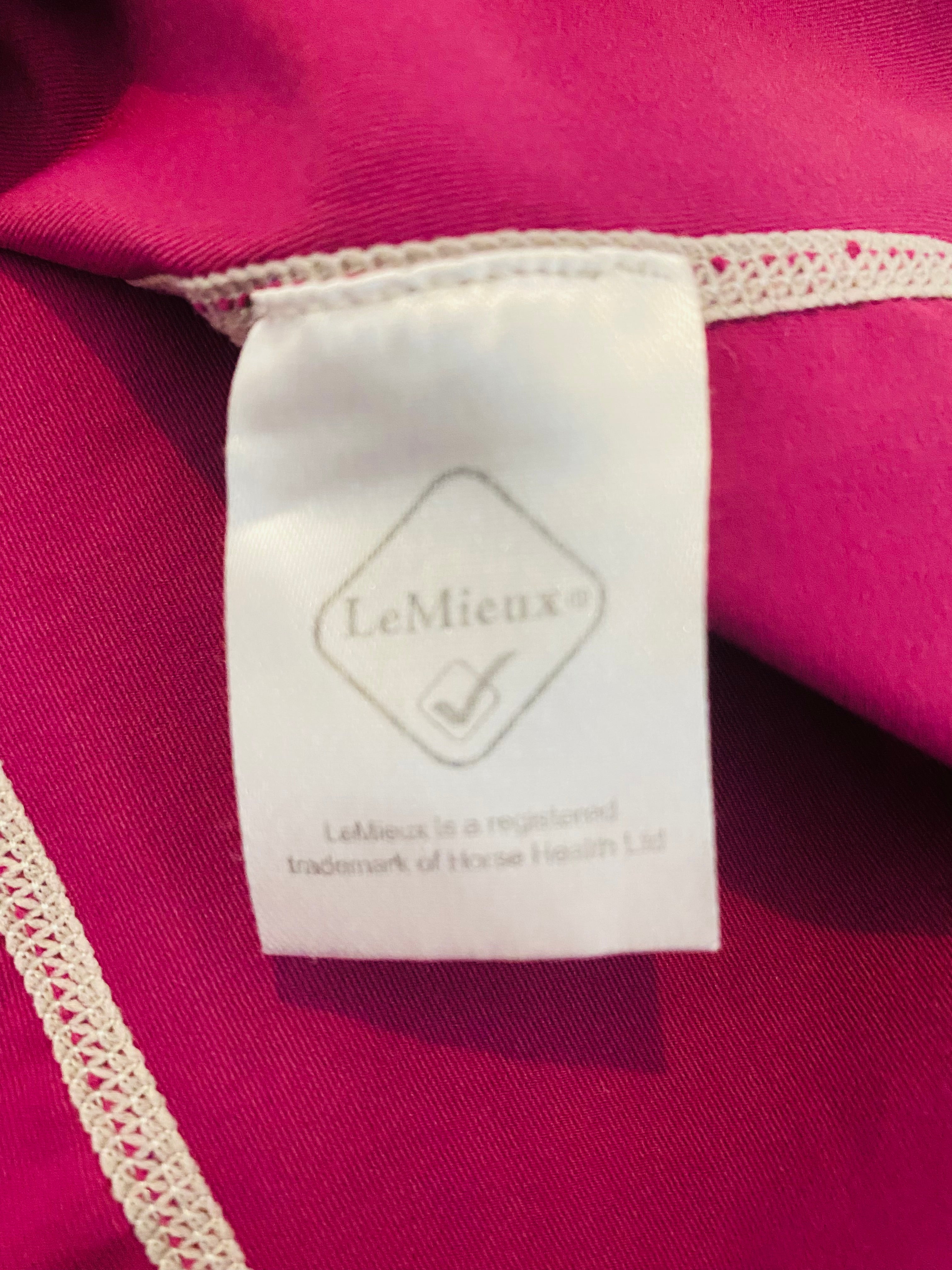 LeMieux Ladies Pink Long Sleeve Base Layer Top UK Medium