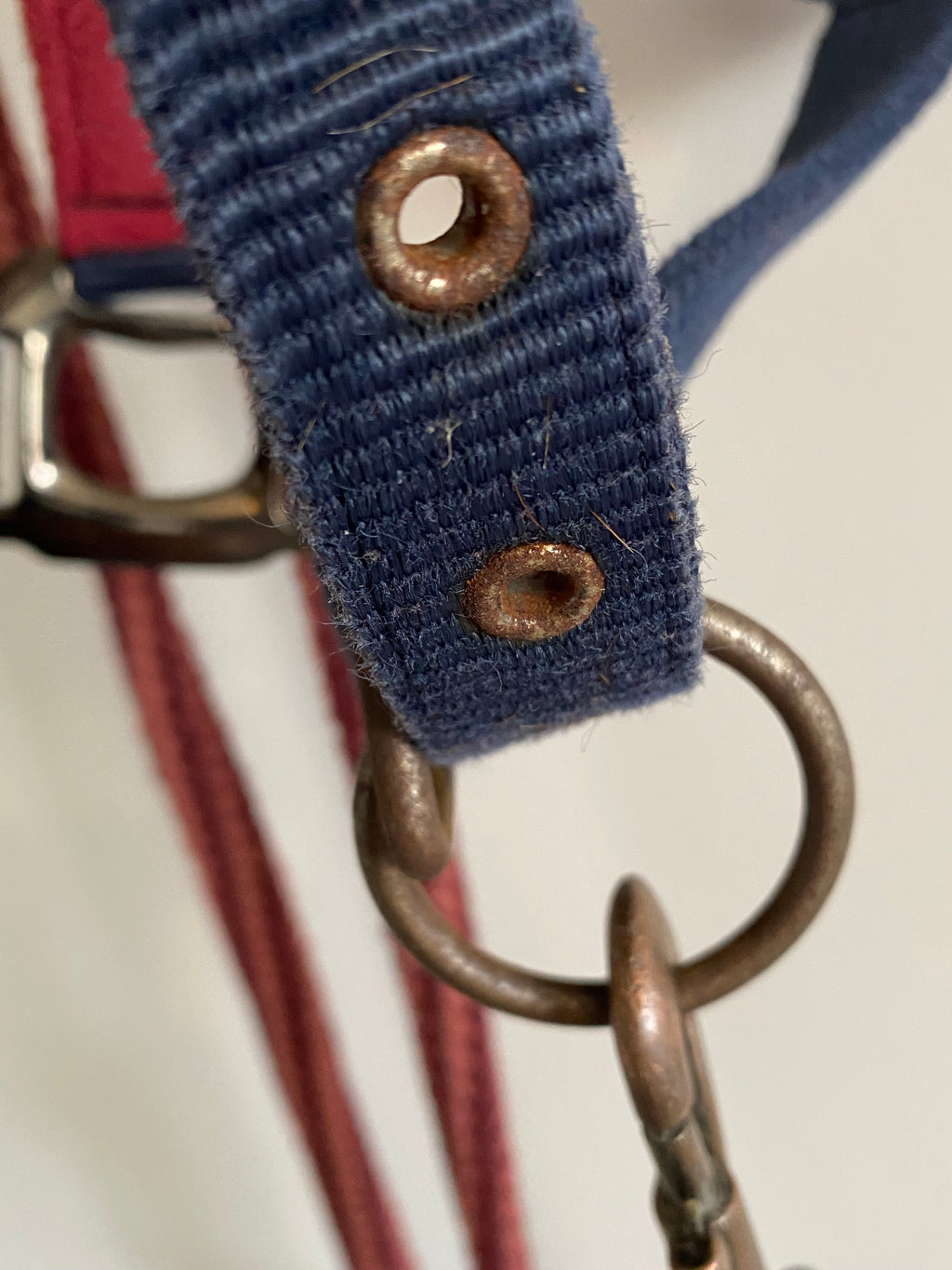 LeMieux Cob Headcollar & Matching Lead Rope – Burgundy/Navy
