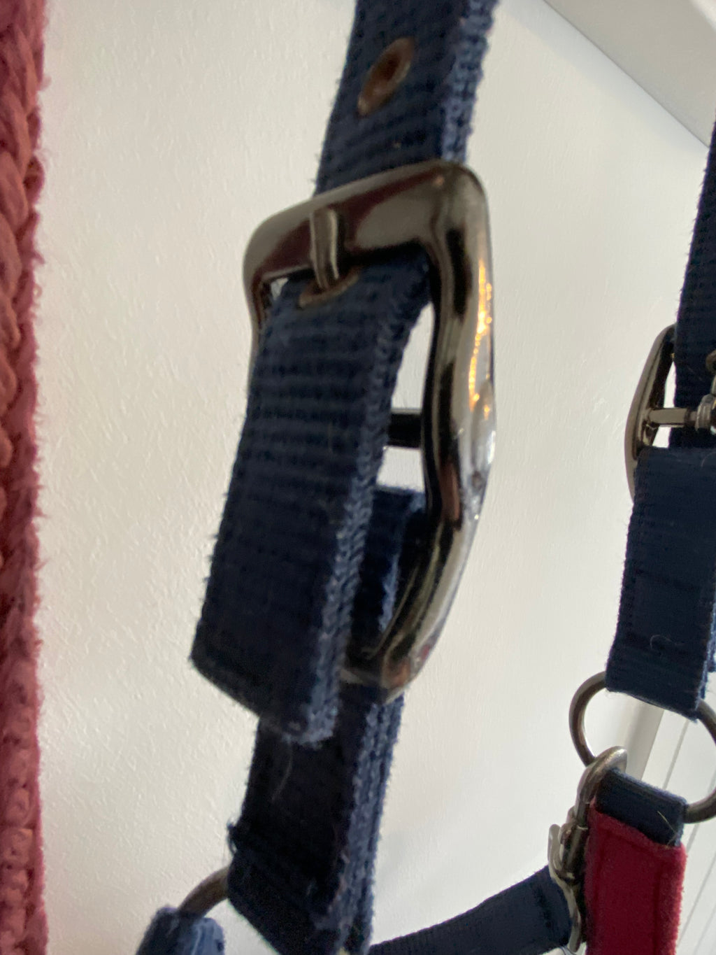 LeMieux Cob Headcollar & Matching Lead Rope – Burgundy/Navy