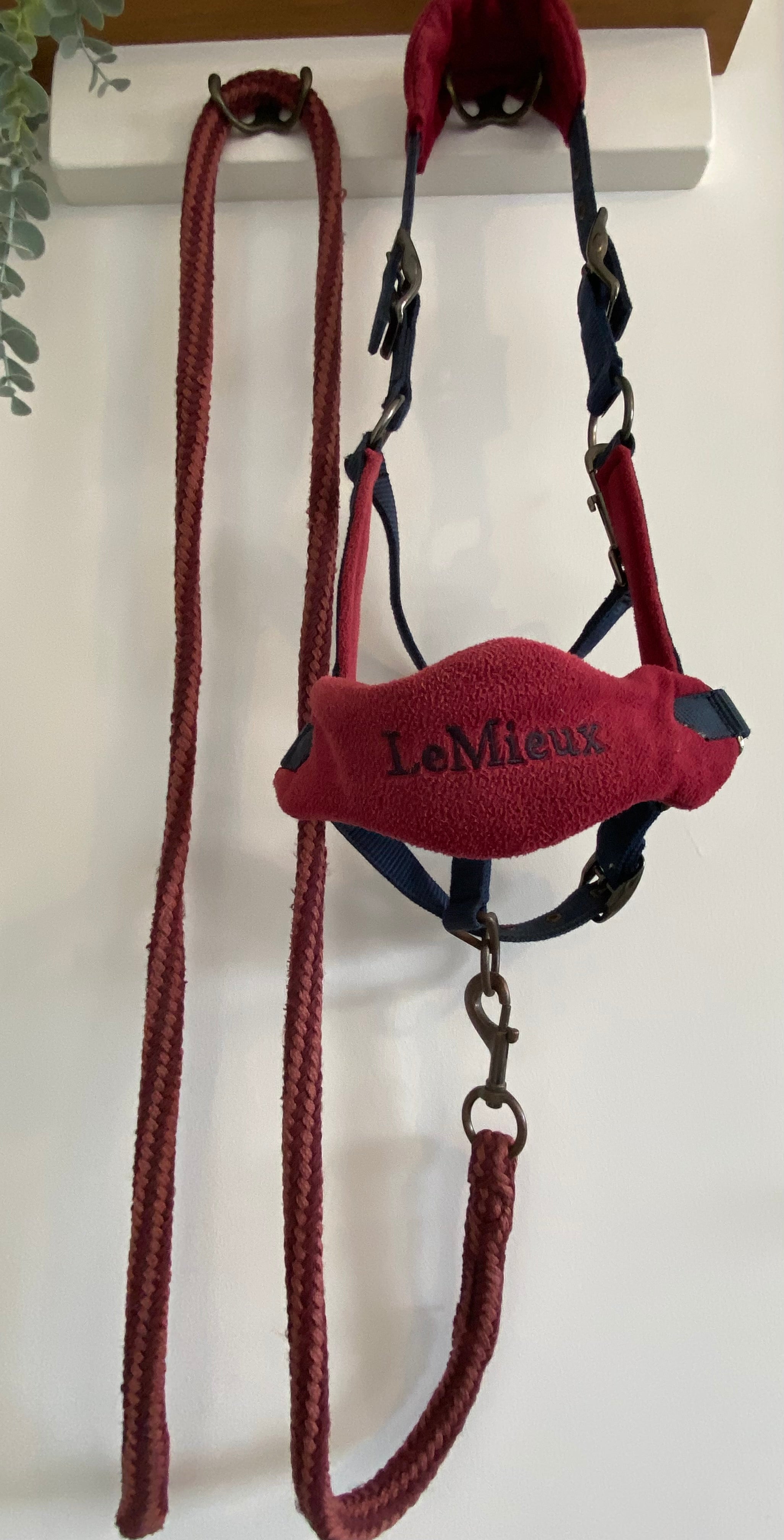 LeMieux Cob Headcollar & Matching Lead Rope – Burgundy/Navy