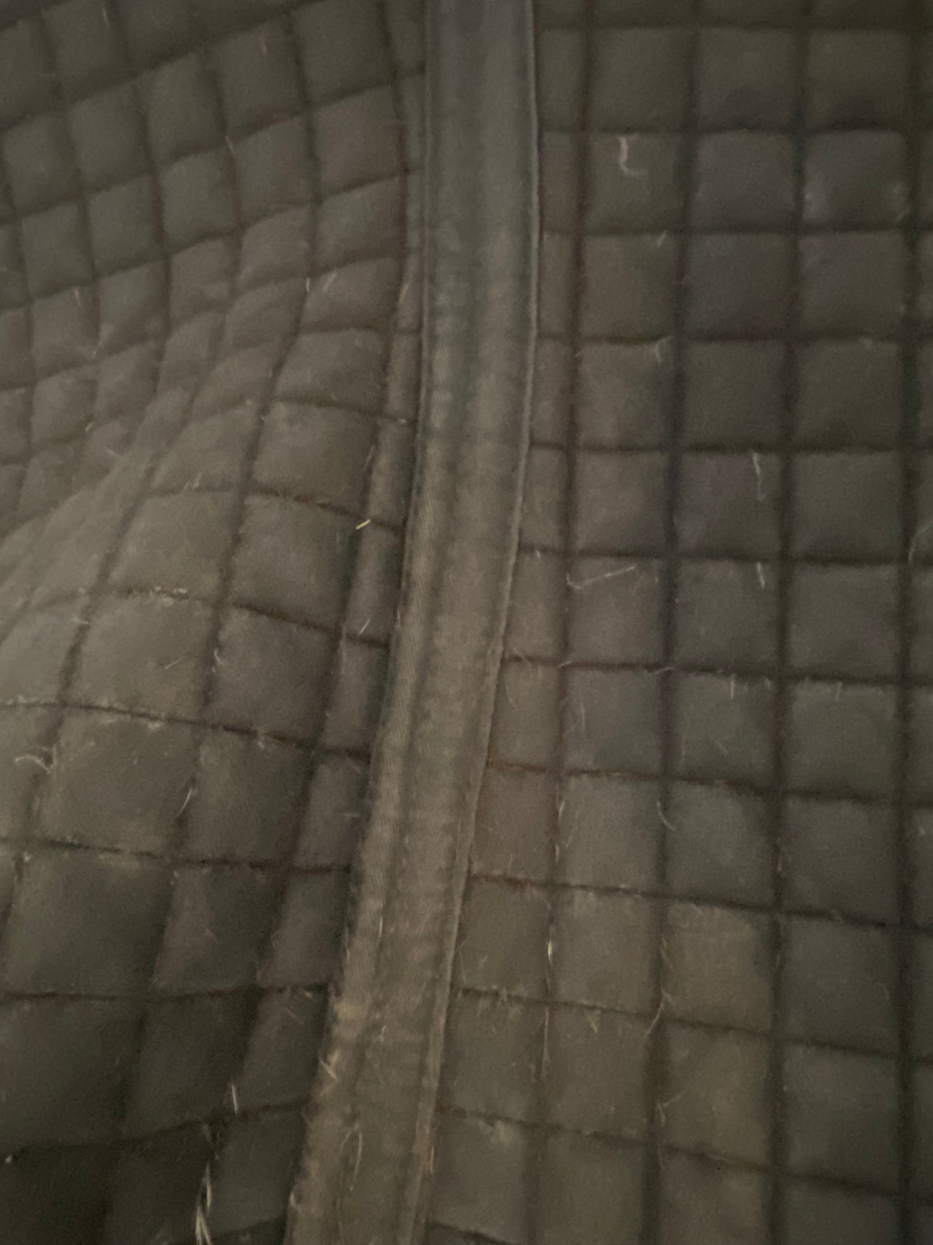 LeMieux ProSport CC Saddle Pad Large Blue