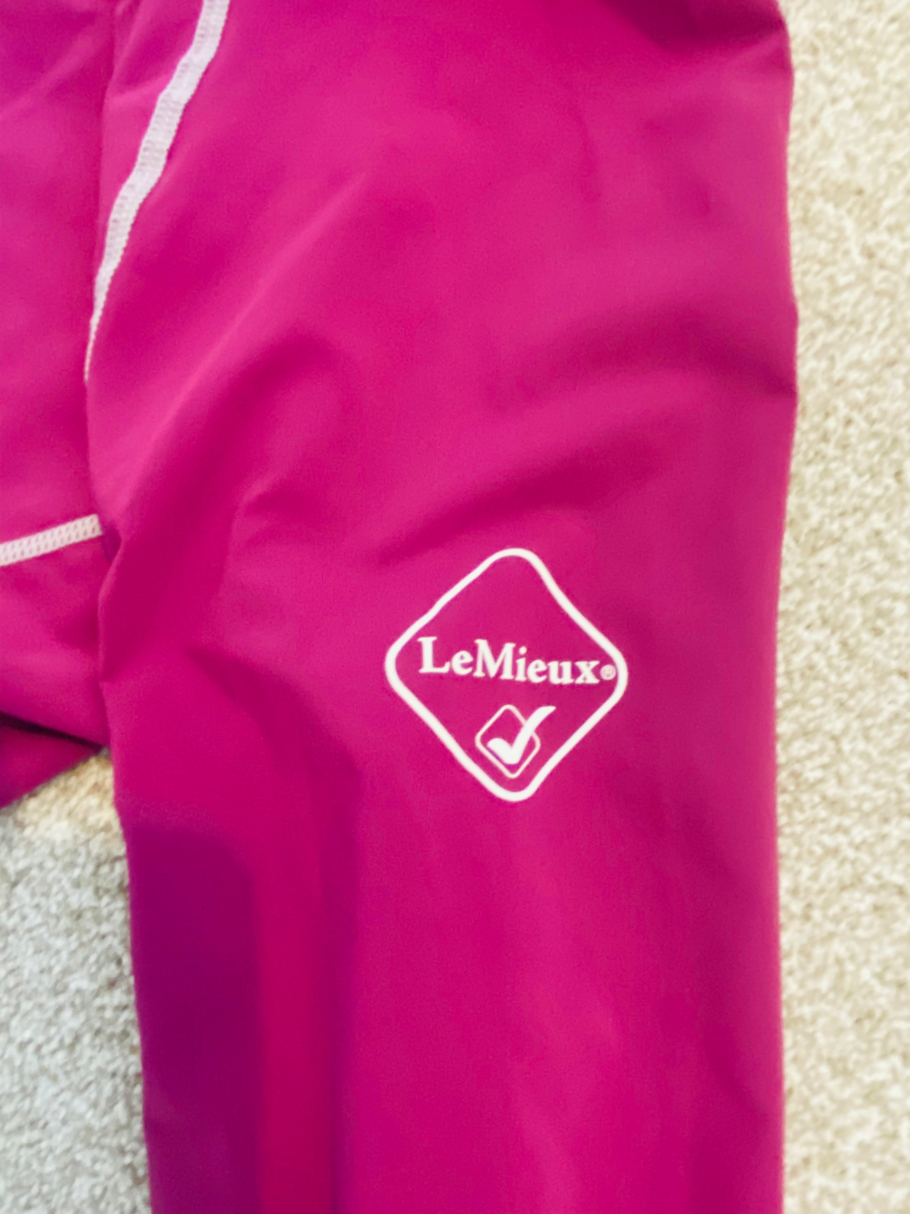 LeMieux Ladies Pink Long Sleeve Base Layer Top UK Medium