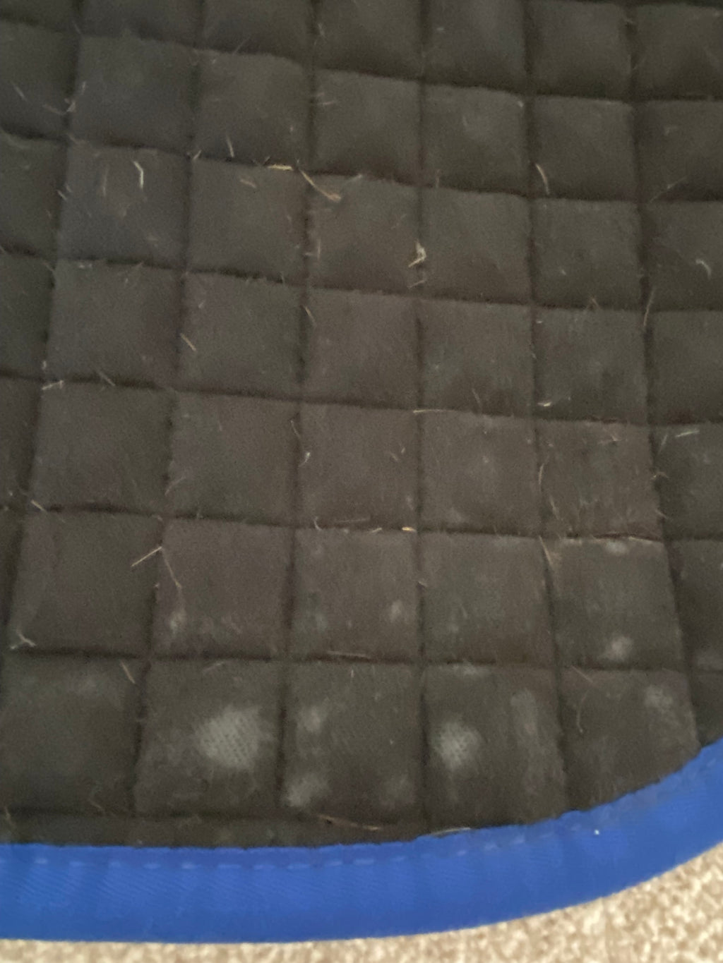 LeMieux ProSport CC Saddle Pad Large Blue