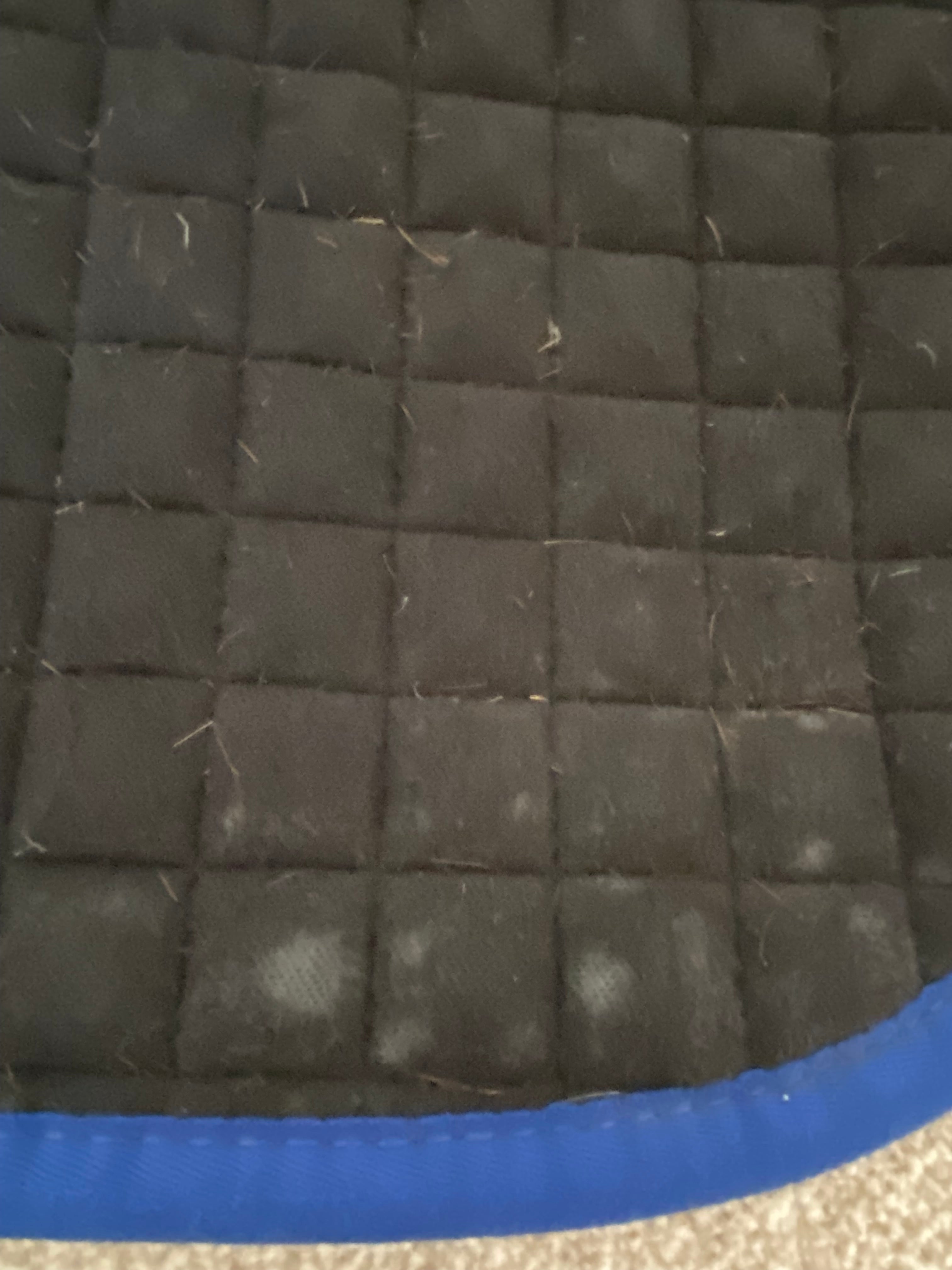 LeMieux ProSport CC Saddle Pad Large Blue
