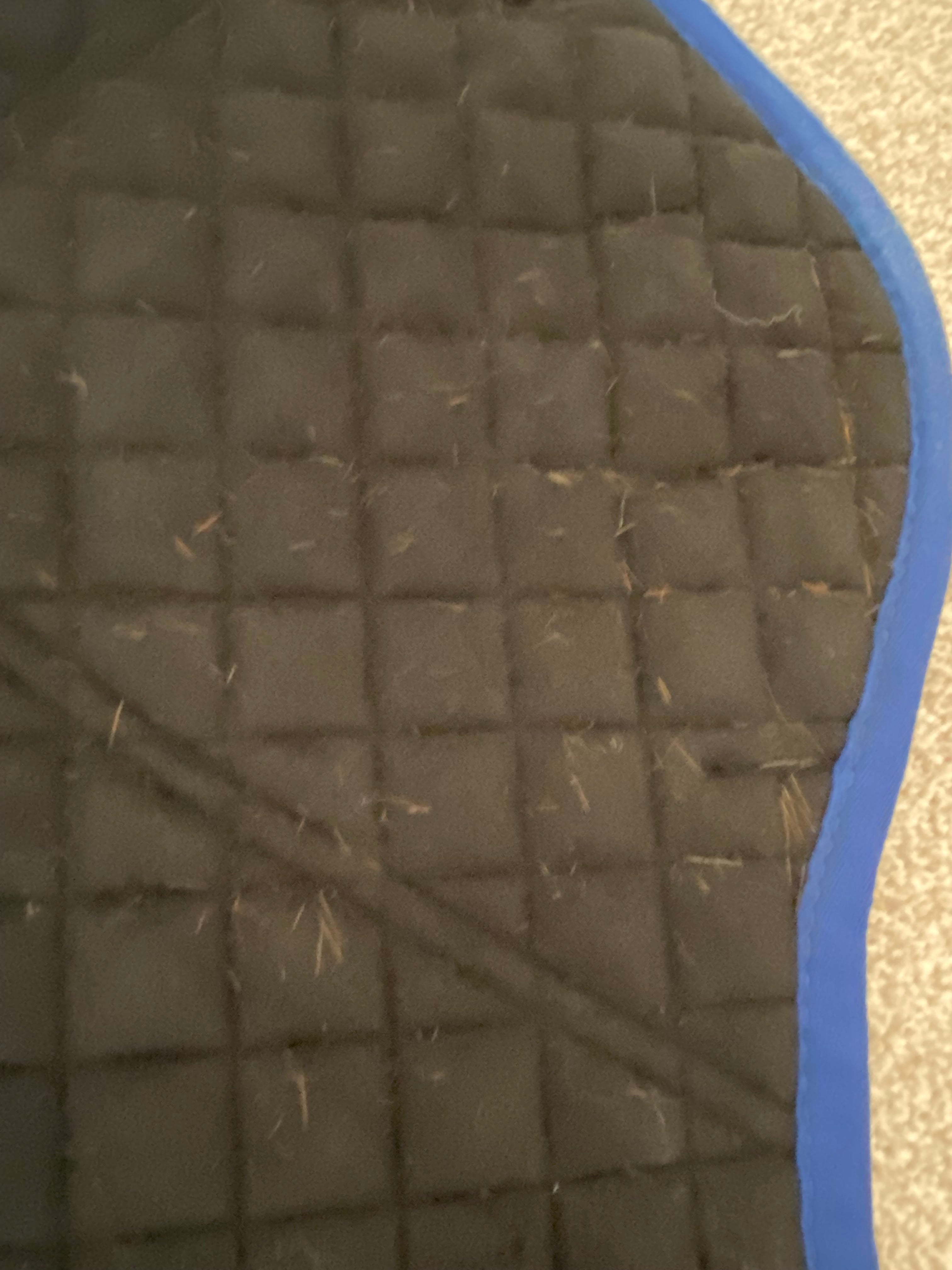LeMieux ProSport CC Saddle Pad Large Blue